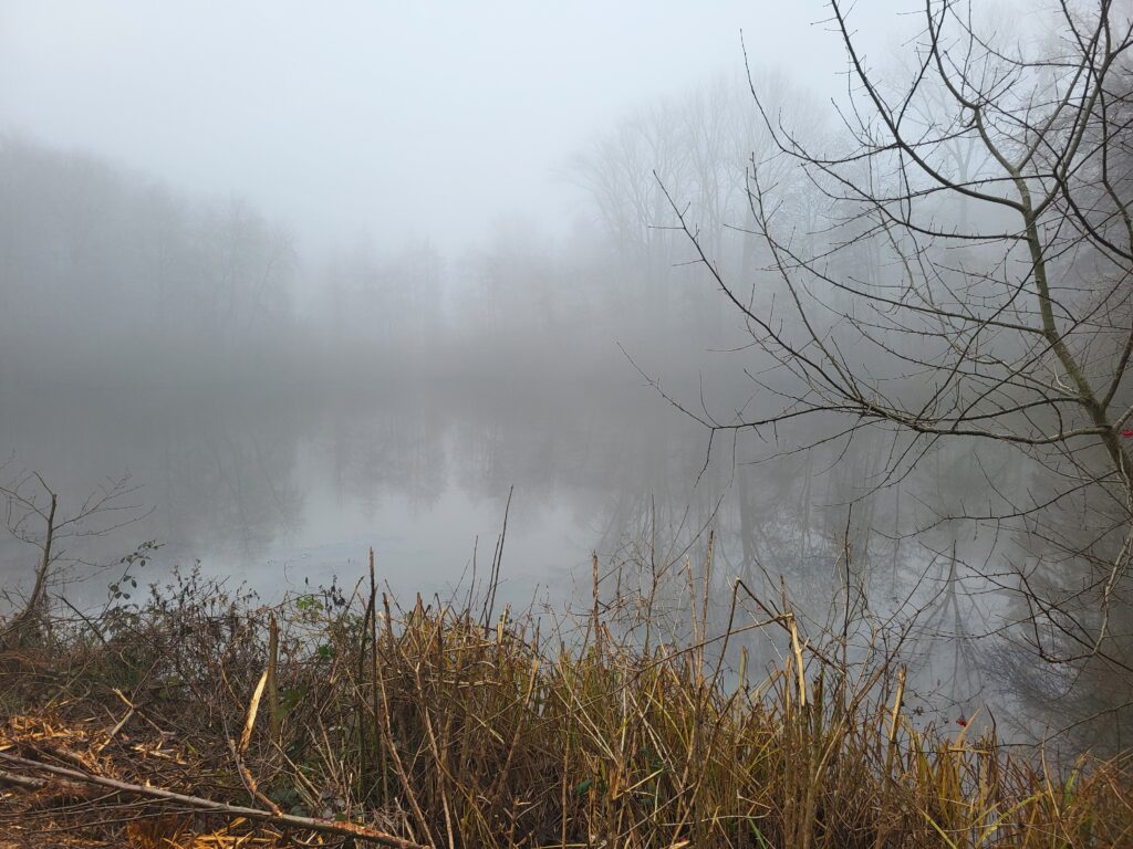 See im Nebel, unklare Sicht auf die andere Uferseite